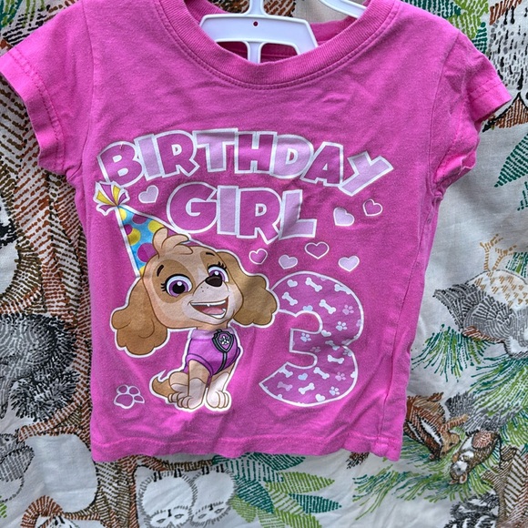 Nickelodeon Paw Patrol Pink SS 3rd Birthday Girl T-Shirt with Cartoon Design 2T - Picture 2 of 16